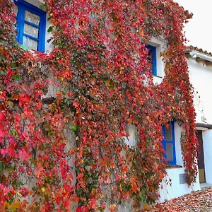 Сasa de vacaciones Casita Collado 1, Alájar